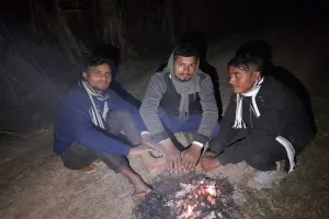 अमरोहा : छुट्टा पशुओं के डर से सर्द रातों में खेतों की रखवाली कर रहे किसान, फसल बचाएं या जान