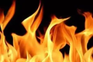 दिल्ली: कारखाने में लगी भीषण आग, दमकल की 25 गाड़ियां मौके पर पहुंची