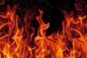 मेरठ: किसान ने एसडीएम कार्यालय के बाहर खुद को लगाई आग, मचा हड़कंप 