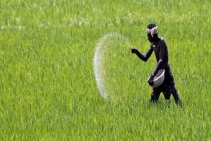 यूरिया का वजन एक बार फिर घटा, अब 45 किलो की जगह 40 किलो का होगा बैग