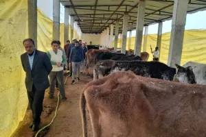 पीलीभीत: गोआश्रय में भरपूर भूसा और चोकर, फिर भी कमजोरी से गोवंश ने गंवाई जान, डीएम ने दिए निर्देश 