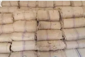 हल्द्वानी: जूट बारदाना सिलने वालों का रोजगार संकट में 