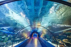 शक्तिफार्म: सिडकुल में 90 करोड़ की लागत से बनेगा एक्वा पार्क: सौरभ  