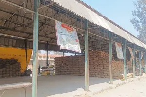 धान खरीद: यूपीपीसीयू व पीसीएफ ने की रिकार्ड तोड़ खरीद, दोनों एजेंसियों ने लक्ष्य से अधिक किसानों से खरीद डाला धान