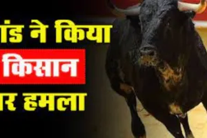 बरेली: सांड़ ने किसान पर किया हमला, सींग लगने से चेहरे में गहरे घाव, हमले नहीं हो रहे कम