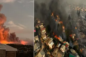 Chile: चिली में जंगल की आग ने मचाई तबाही, अबतक 131 लोगों की मौत...1600 बेघर 