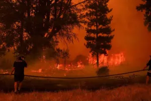 चिली : जंगल की आग घनी आबादी वाले इलाके में फैलने से 46 लोगों की मौत, 1100 मकान जलकर खाक