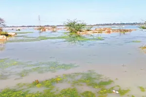 Kanpur: मेगा लेदर क्लस्टर... सपनों को जमीन मिली पर उड़ान भरने को पंख अभी दूर, लेदर क्लस्टर में 250 टेनरियां होंगी स्थापित