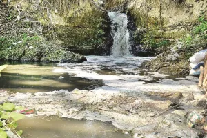 Kanpur News: जाजमऊ स्थित 36 एमएलडी एसटीपी पर लटकी तलवार... कंपनी बोली- 15 फरवरी से कर देंगे काम बंद...