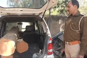 रामनगर: वैगनआर में ले जा रहे सागौन के गिल्टे पकड़े                 