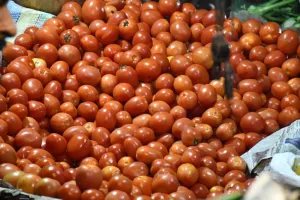 बरेली: लगन में लाल हुआ टमाटर, लहसुन की कीमतों में भी आग