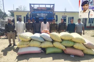 किच्छा: पुलिस एवं एसटीएफ को मिली कामयाबी, 30 किलो डोडा सहित 5 किलो से अधिक अफीम बरामद