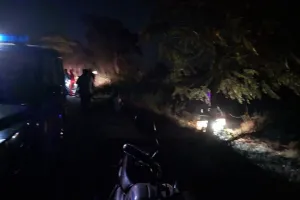 हरदोई: गश्त के दौरान असंतुलित होकर क्षेत्राधिकारी का वाहन पलटा, कई पुलिसकर्मी घायल 