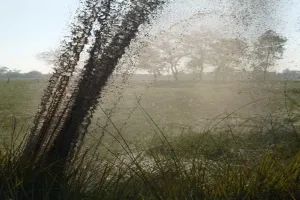 रायबरेली: फटी एनटीपीसी की ऐश पाइप लाइन, राख युक्त पानी से सराबोर हुए खेत 