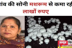 पीलीभीत: मशरूम की खेती से गांव की सोनी ने बदली किस्मत, कमा रही लाखों रुपए
