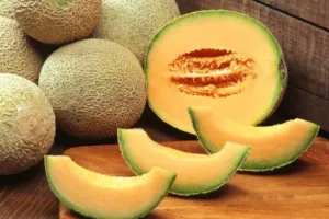 Health Tips: गर्मियों में खाएं खरबूजा, मिलेंगे कई फायदे...इम्युनिटी भी होगी स्ट्रांग