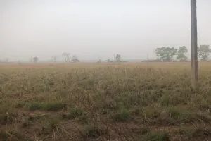 बहराइच के कतर्नियाघाट में सूखी ग्रास लैंड, कैसे जिन्दा रहेंगे शाकाहारी वन्यजीव