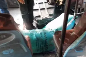 हल्द्वानी: बस अड्डे पर लावारिस मिले मावा और पनीर को नष्ट किया, एक खेप का दावेदार मिला दूसरे का नहीं