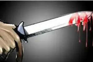 हल्द्वानी: गर्भवती गाय पर धारदार हथियार से हमला, गौ सेवकों ने दी तहरीर