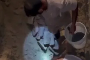 Kanpur: कुएं में गिरा गोवंश…लोगों ने दी सूचना, पुलिस व फायर बिग्रेड के जवान निकालने के प्रयास में जुटे