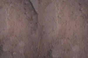 बरेली: गारंटी पीरियड पूरा होने से पहले ही टूट गई साढ़े चार करोड़ से बनी सड़क, लोग झेल रहे हैं दिक्कतें