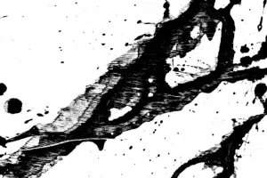 रुद्रपुर: कोर्ट में पैरवी करने आई महिला पर फेंकी काली स्याही