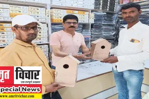 world sparrow day: आपके आंगन में गौरेया चहचहाती रहें इसके लिए फ्री में बांट रहे नेस्ट, दे रहे पर्यावरण संरक्षण का संदेश!  