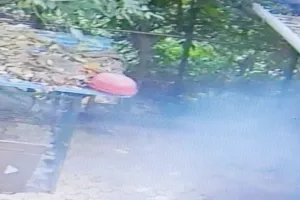 प्रयागराज: उमेश पाल के घर के पीछे गौशाले में चला बम, पुलिस ने तीन आरोपितों को हिरासत में लिया, कर रही पूछताछ, VIDEO