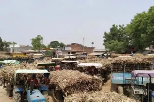 लखीमपुर खीरी: ट्रॉली न गन्ना.. फर्जी तौल कर मिल को लगा रहे थे लाखों का चूना