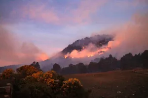 मेक्सिको के 19 प्रांतों में फैली जंगल की आग, आबादी क्षेत्र को कोई खतरा नहीं  