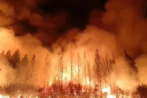 गरमपानी: भुजान और बमस्यूं में आग का तांडव, धुएं ने रोकी रफ्तार 