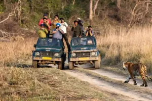 रामनगर: फाटो जोन को मिला 2.41 करोड़ का राजस्व