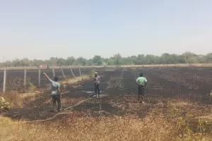 अमेठी में शॉर्ट सर्किट से लगी आग, 20 बीघा गेंहू का अवशेष जलकर खाक