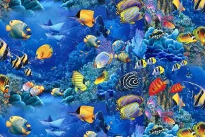 काशीपुर: पहली बार चैती मेले में देखेंगे मछलियों का संसार