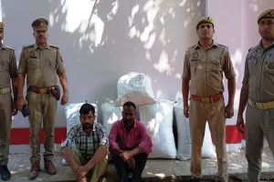 मीरजापुर: नारियल के आड़ में छिपाकर ले जा रहे थे 45 लाख का गांजा, एसटीएफ ने पकड़ा, इन जिलों में देनी थी सप्लाई