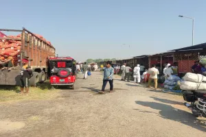 किसानों और व्यापारियों को फसल का मिलेगा उचित मूल्य: जिलाधिकारी