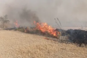 सुलतानपुर: आग लगने से साढ़े छह बीघा गेहूं की फसल जली