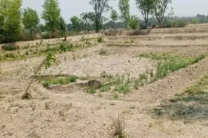 सुलतानपुर: प्रशासनिक उदासीनता से सूखे अमृत सरोवर, कैसे बुझेगी बेजुबानों की प्यास