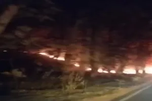 बहराइच: कतर्नियाघाट जंगल में लगी आग फैली, वन अधिकारी मस्त