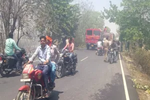 गोंडा: सुंदर घाट जंगल में लगी आग, 40 बीघे में लगे बेशकीमती पेड़‌ जलकर राख