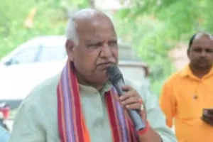 संविधान बदलने के लिए दो तिहाई बहुमत चाहिए... भाजपा सांसद का विवादित बयान, वीडियो हुआ वायरल 