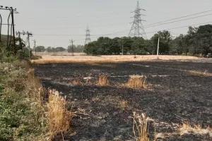 अयोध्या: दो गांव की 8 बीघा गेहूं की फसल जल कर राख