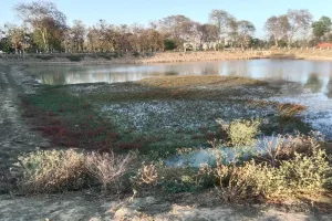 बाराबंकी: निर्माण में लापरवाही की भेंट चढ़े अधिकतर अमृत सरोवर