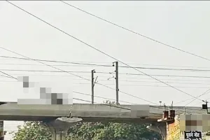 लखनऊ: नटखेड़ा रोड पर बंदरों का आतंक, दुकानदार परेशान, दहशत में ग्राहक