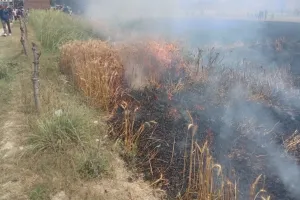 Etawah Fire: कई जगह आग लगने से लाखों का नुकसान, फसलें जलने से किसान परेशान