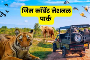 रामनगर: कॉर्बेट को मिला 23 करोड़ से अधिक का राजस्व