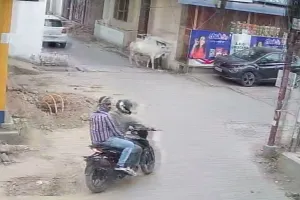 Kanpur Loot: बाइक सवार बदमाशों ने मॉर्निंग वॉक करने निकली रिटायर्ड शिक्षिका से लूटी चेन...वारदात CCTV में कैद