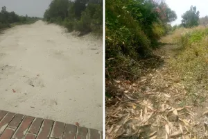 Unnao News: आसमान से बरस रही आग, नहरों में पानी न होने से खेतों में दरारें 