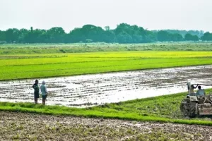 हल्द्वानी: 24 साल में उत्तराखंड से गायब हो गई 2 लाख हेक्टेयर कृषि भूमि