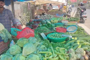 Unnao News: सब्जियों में छाई महंगाई...बजट के साथ थाली का स्वाद बरकरार रखने को हो रही जद्दोजहद 